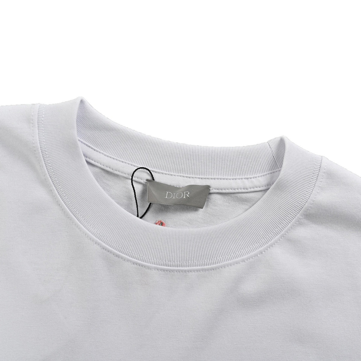 Dior 25ss ski series embroidered logo short sleeves