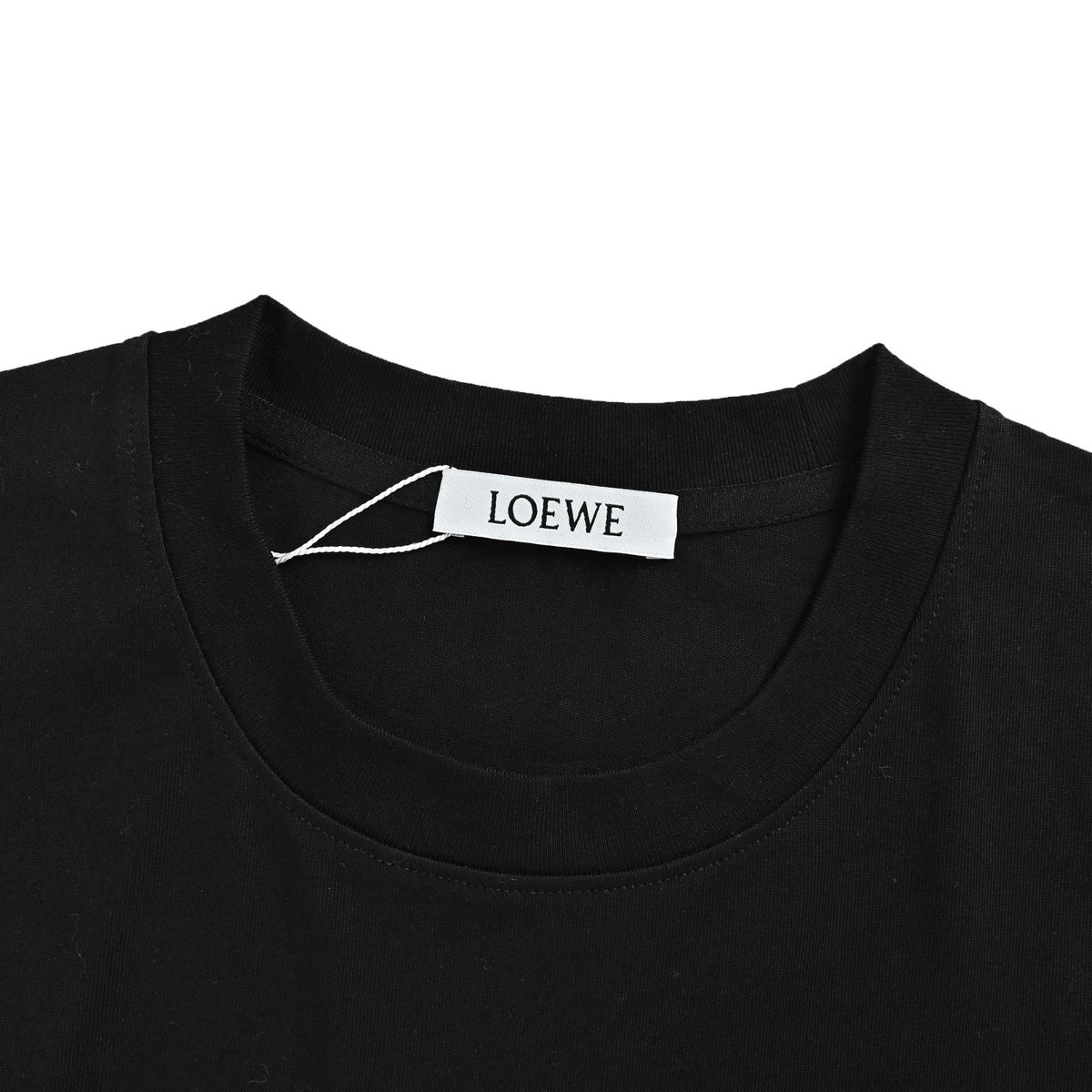 Loewe/Luo Yiwei 26ss flower vine logo printed short sleeves