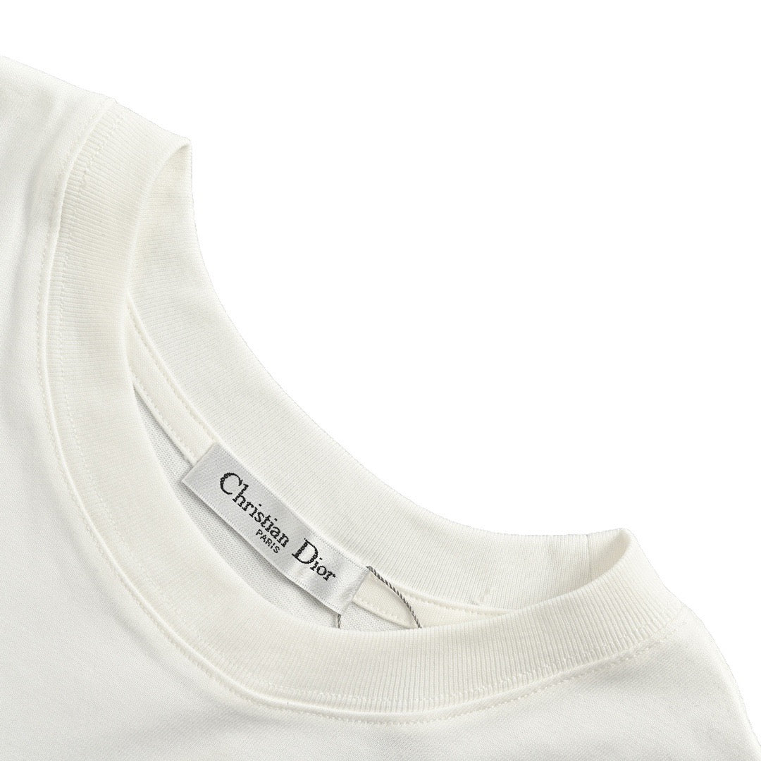 Dior 23ss blue striped letter print short sleeves