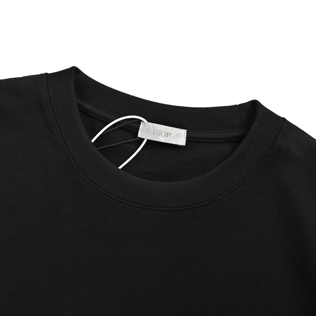 Dior 26ss Aboriginal pony embroidered back letter printed short sleeves