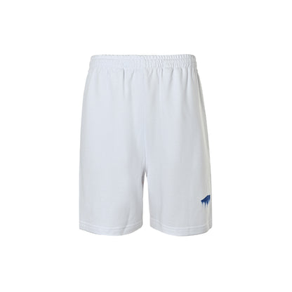 Balenciaga/Balanciaga blue liquefied embroidered shorts