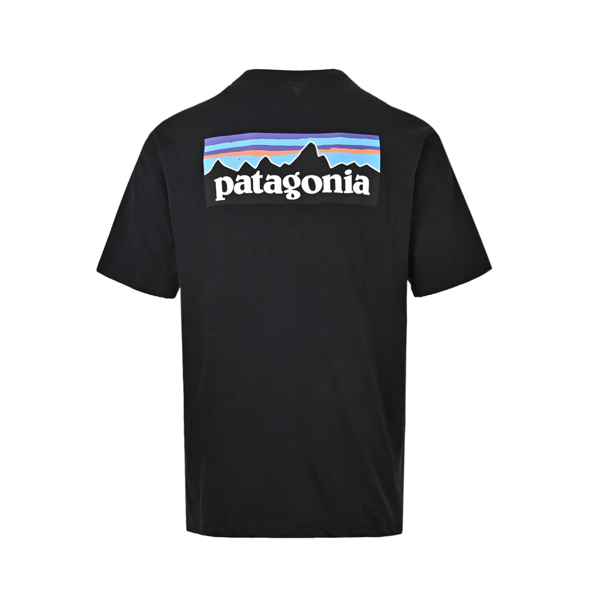PATAGONIA letter print short sleeves