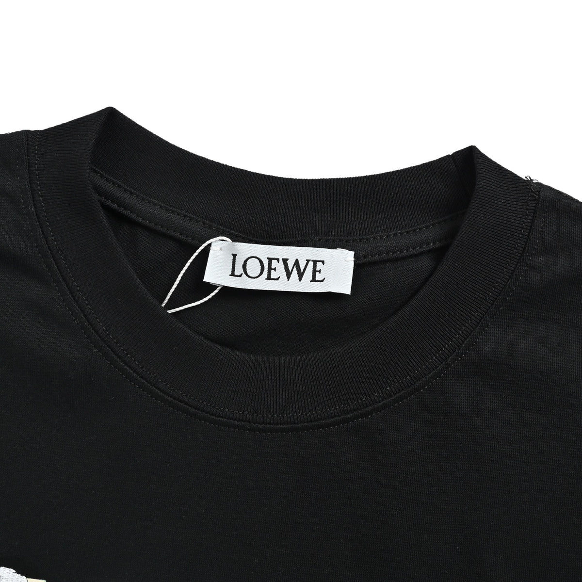 Loewe/Luo Yiwei semi-hand-painted embroidered short sleeves