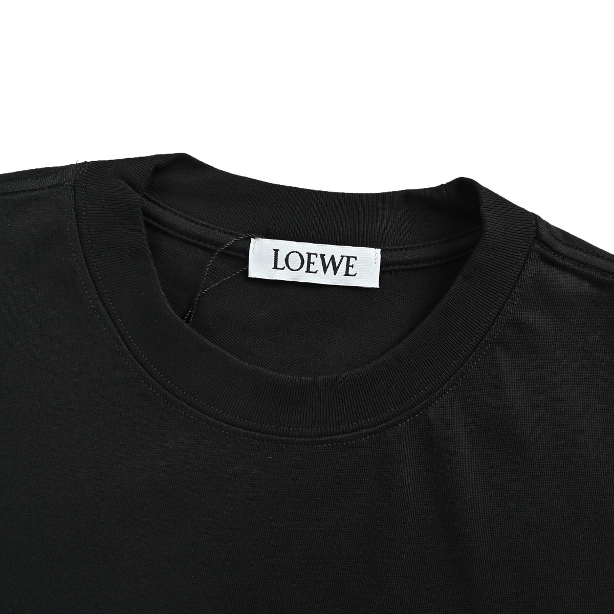 Loewe/Luo Yiwei colorful embroidered flower logo short sleeves