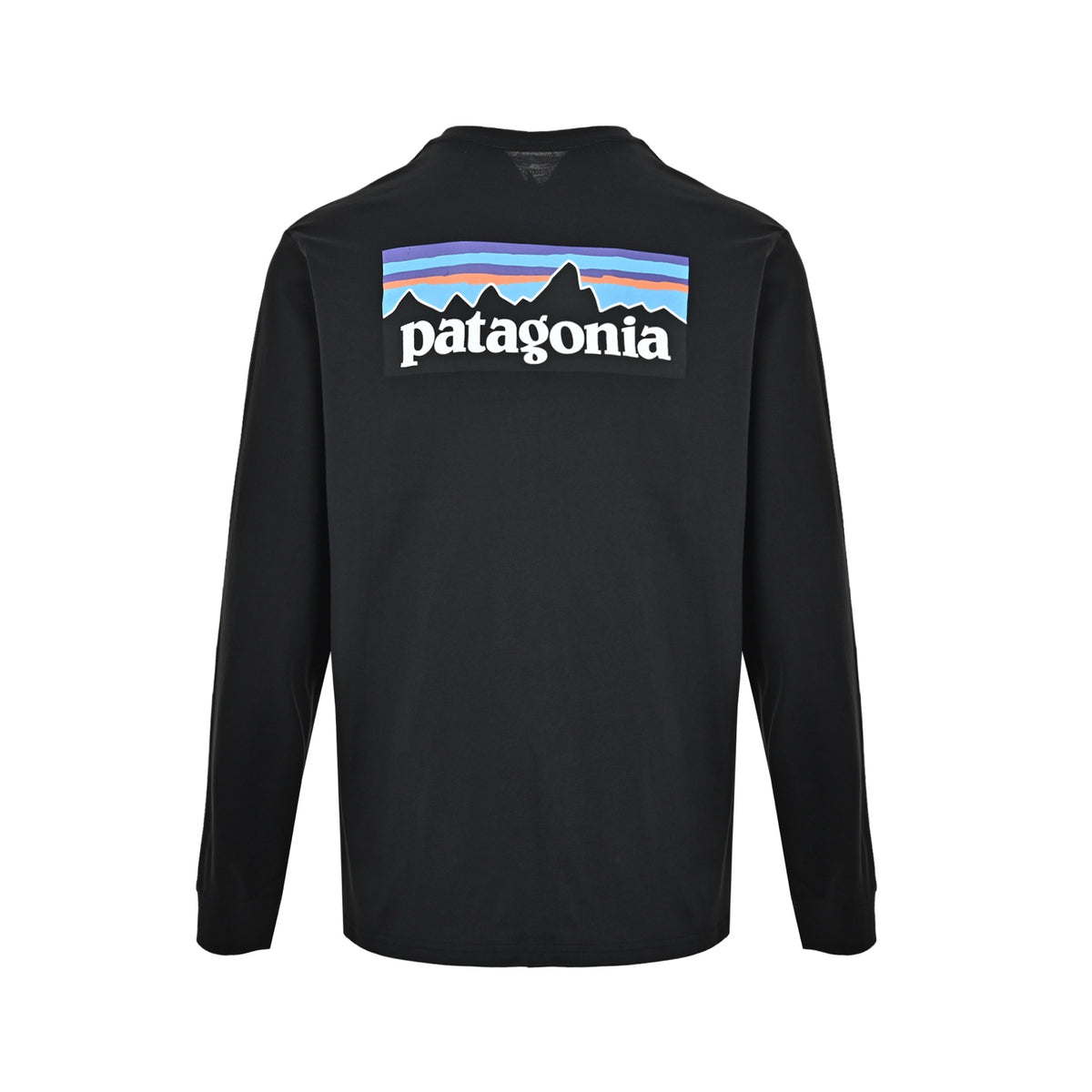 Patagonis/Patagonia P6 letter long sleeves