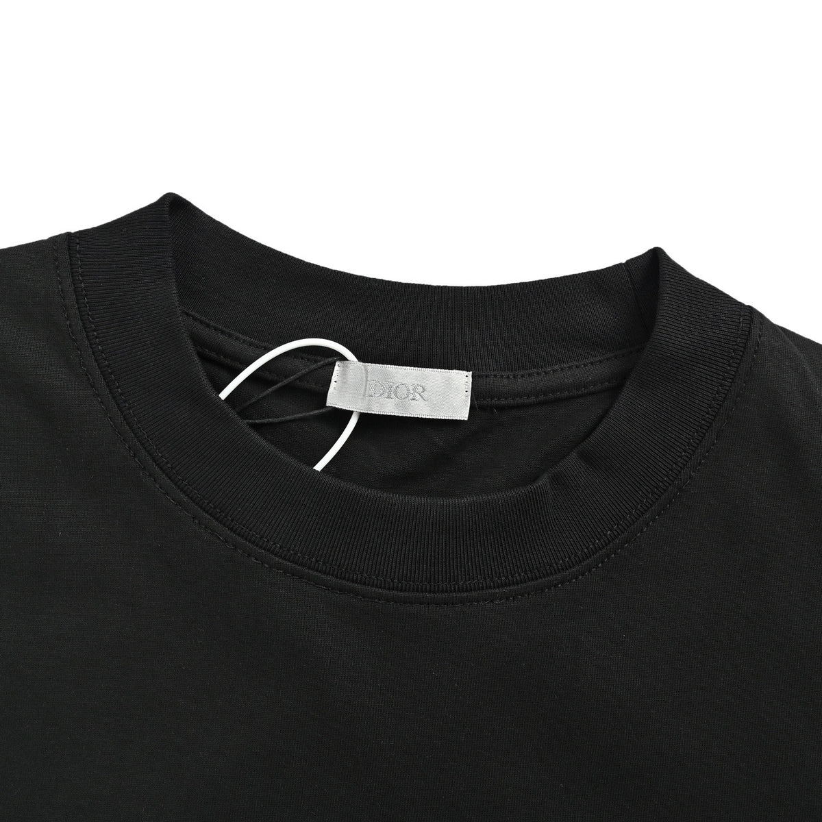 Dior 26ss pony embroidered badge printed short sleeves