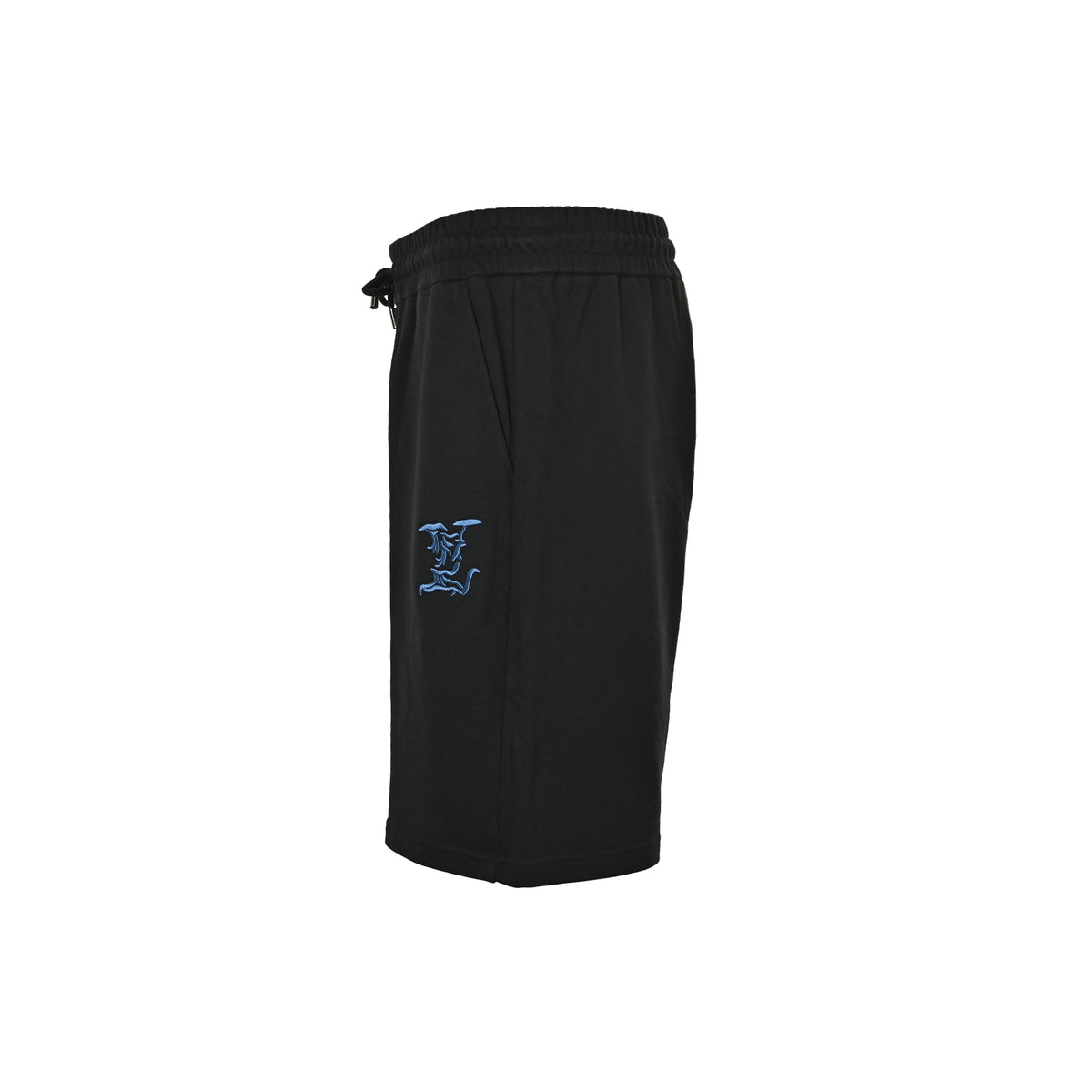 Louis Vuitton 26ss blue letter logo embroidered shorts