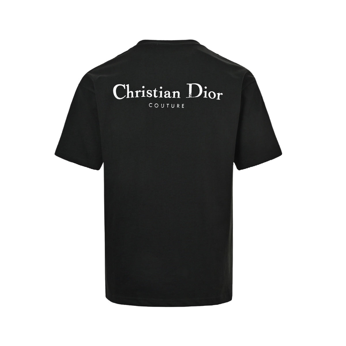Dior 26ss Aboriginal pony embroidered back letter printed short sleeves