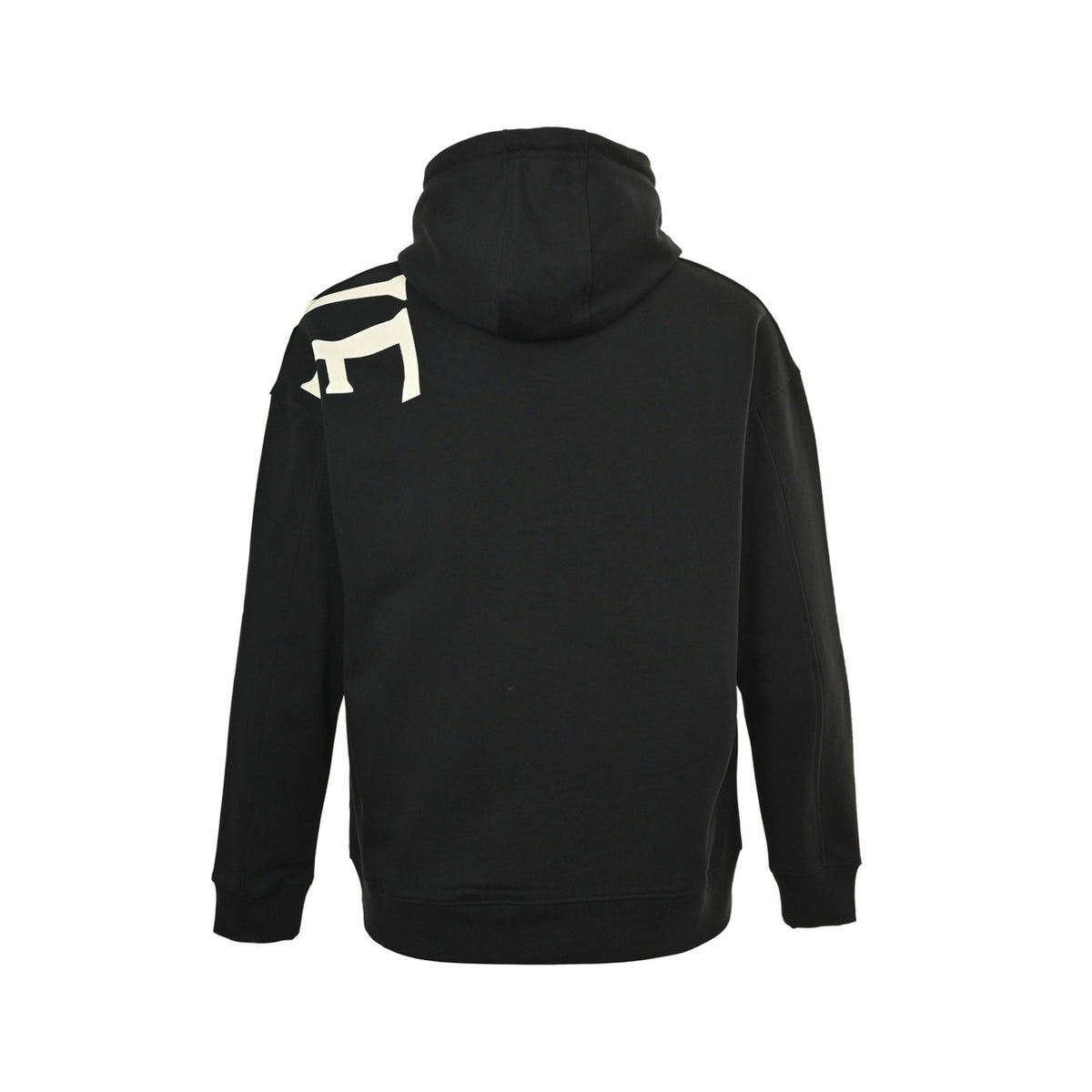 Loewe/Luoyiwei 25Fw large letter logo print hooded sweatshirt