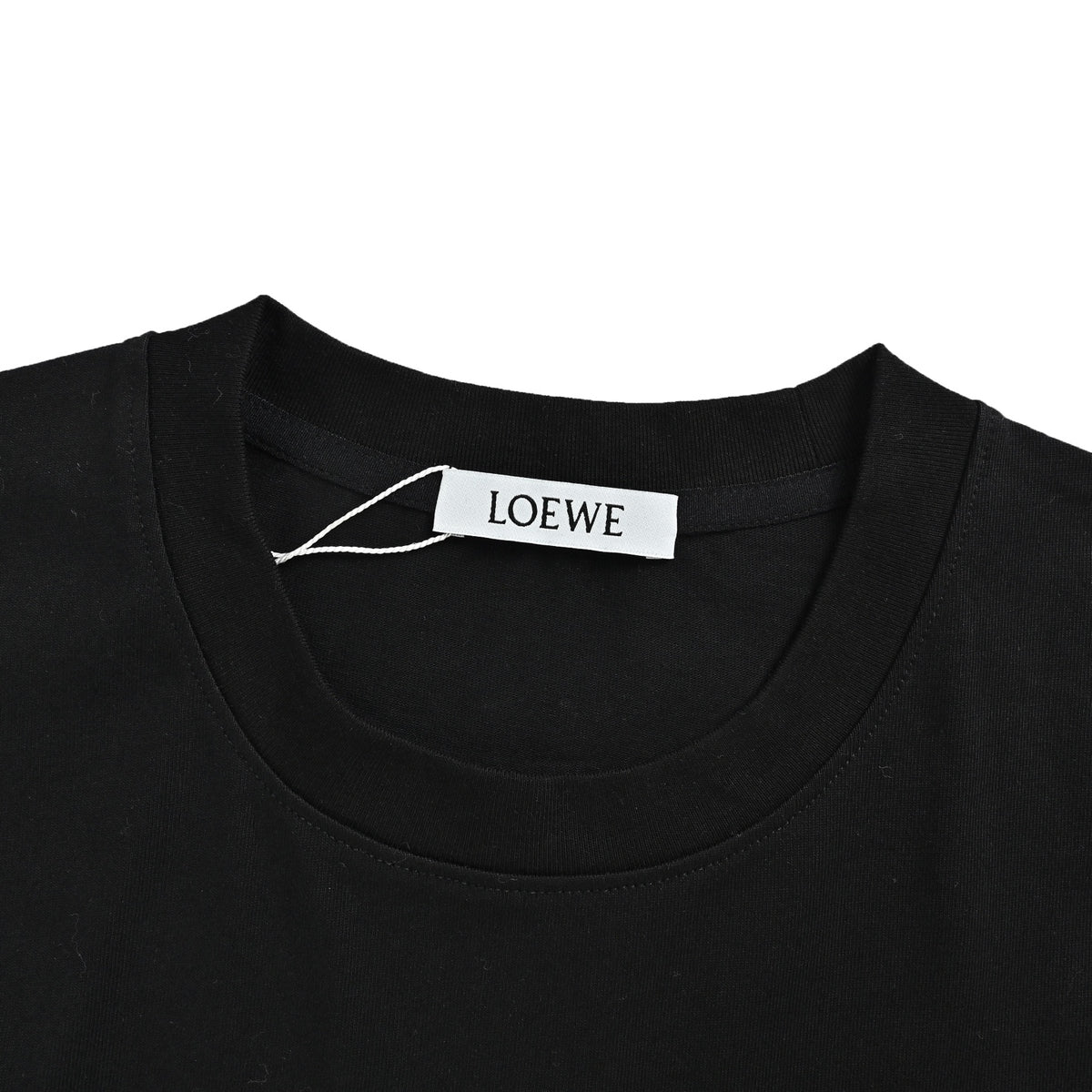 Loewe/Luo Yiwei 26ss flower vine logo printed short sleeves