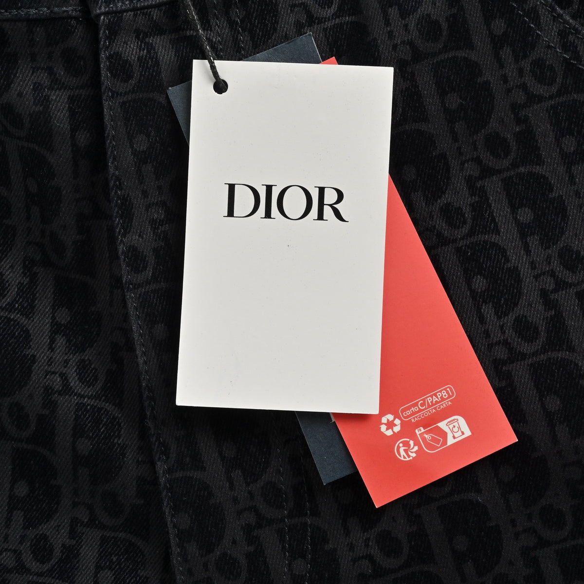 Dior 25ss Year of the Snake limited edition flocked presbyopia embroidered suit denim shorts