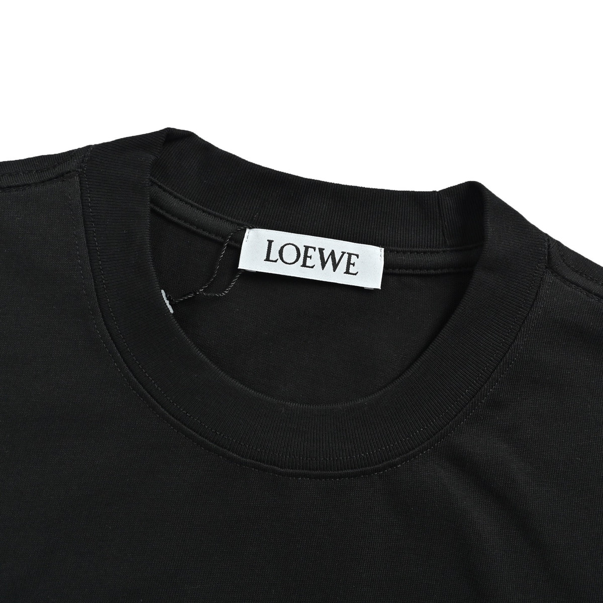 Loewe/Luo Yiwei color block blue and white small flower logo embroidered short sleeves