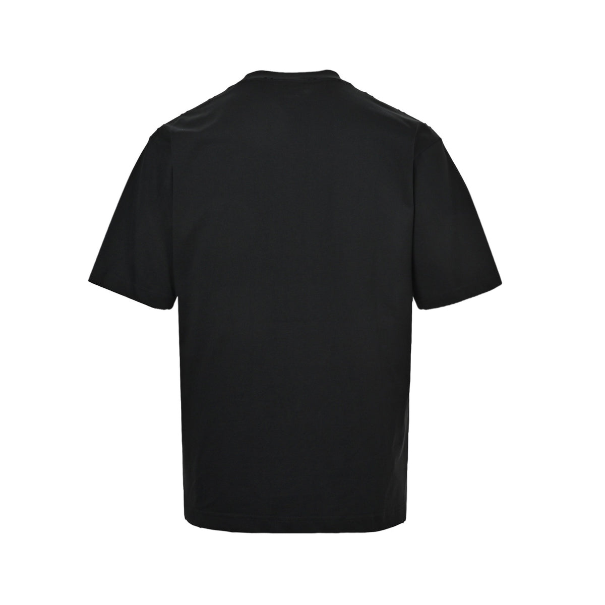 Balenciaga/Balanciaga Paris Sacre-Coeur Cathedral printed washed short-sleeves