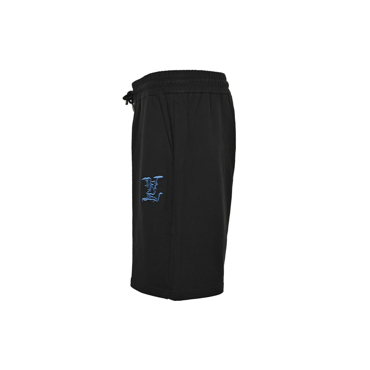 Louis Vuitton 26ss blue letter logo embroidered shorts