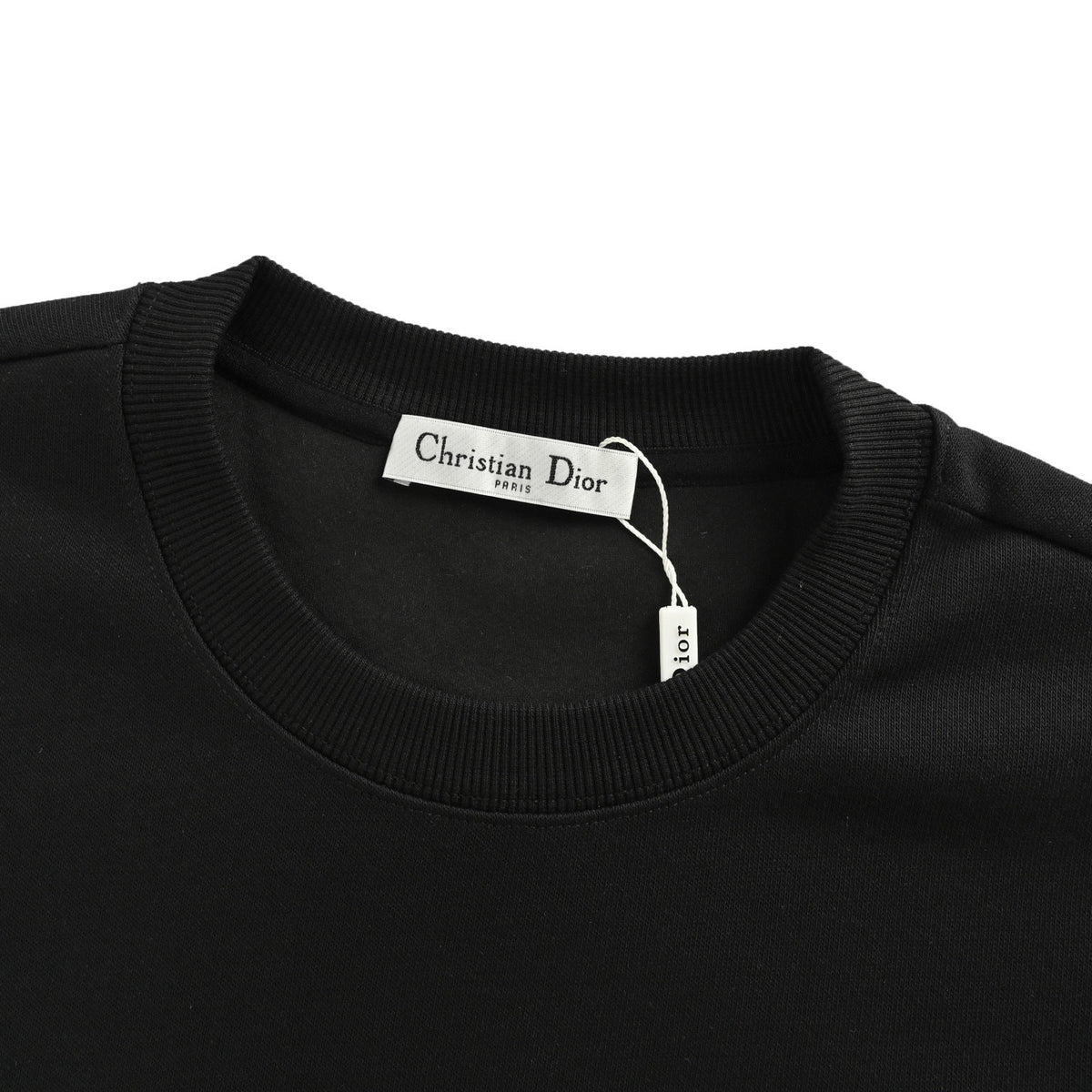 Dior 25Fw small dinosaur embroidered round neck sweatshirt