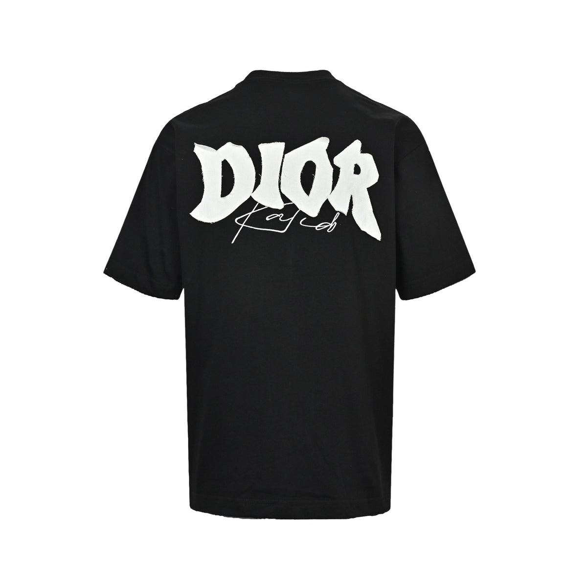 Dior 26ss letter logo patch embroidered short sleeves