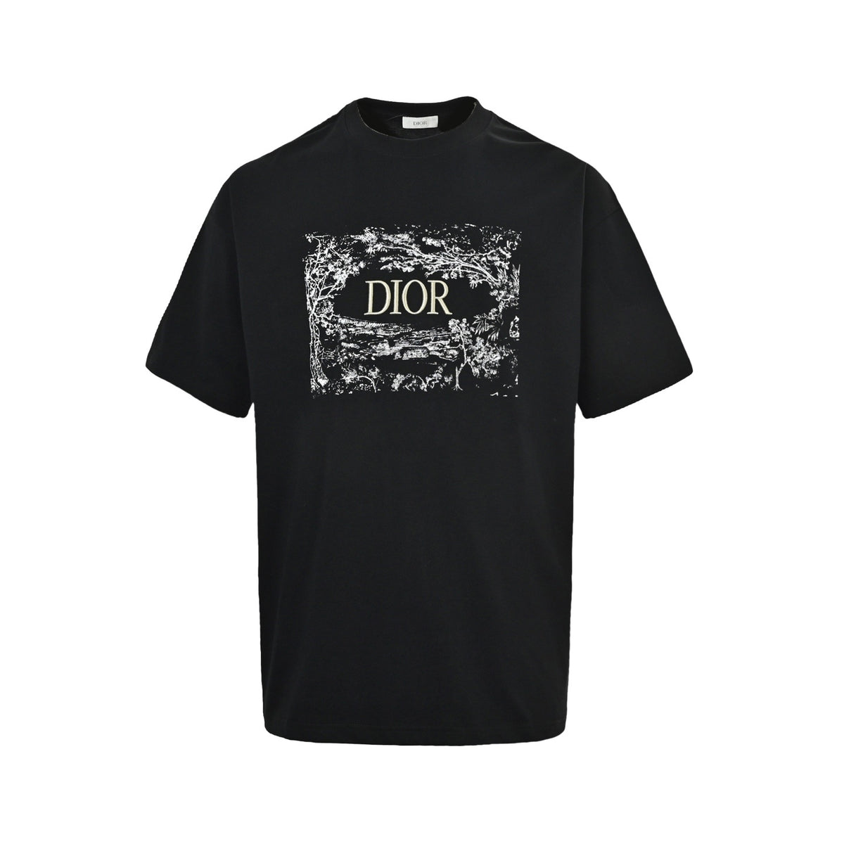 Dior floral print letter embroidered short sleeves