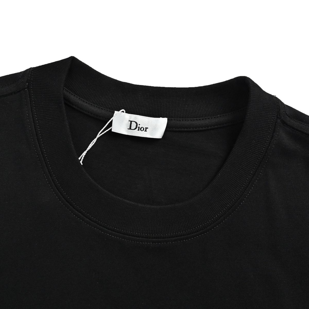 Dior Year of the Horse pony embroidered short sleeves